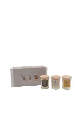 Home Fragrance | "Favourites" Set of 3 Mini Candles 70g | Meg Hawkins